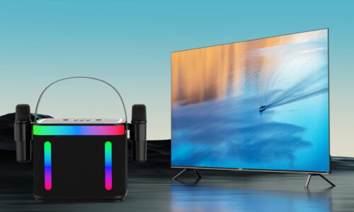 202 Microphone and Speaker - Image 31