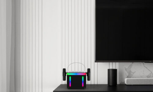 202 Microphone and Speaker - Image 27