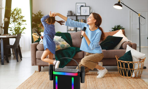 202 Microphone and Speaker - Image 21