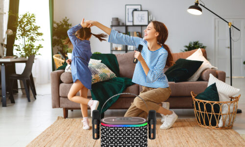 201 Microphone and Speaker - Image 9